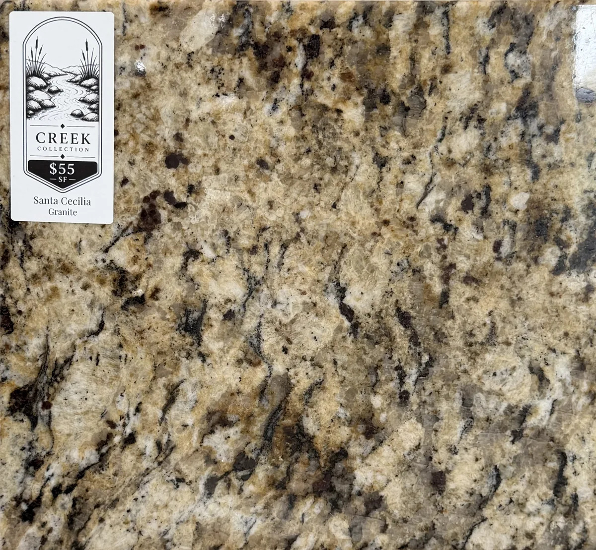 Santa Cecilia Granite countertop Seymour TN
