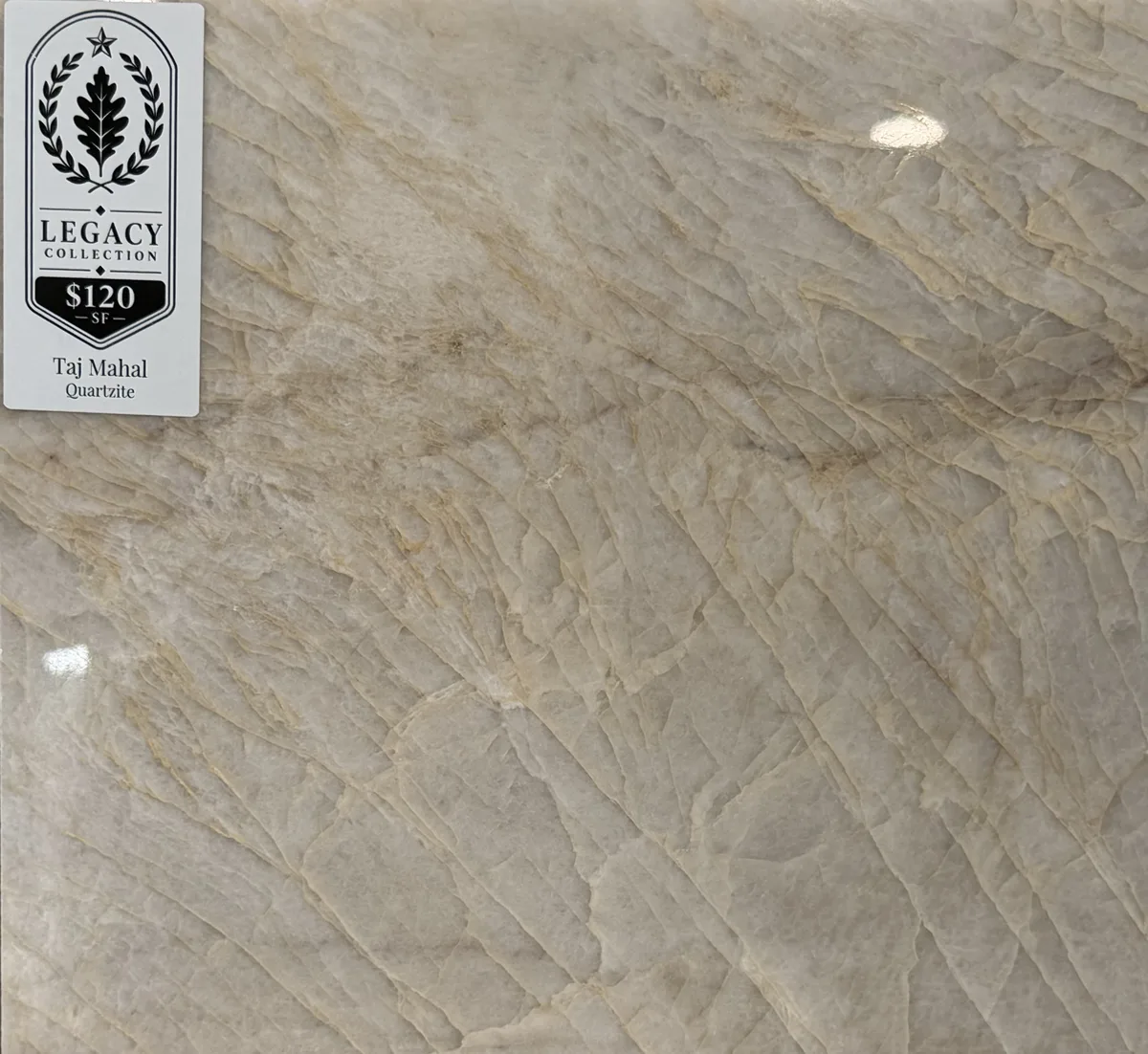 Taj Mahal Quartzite countertop Seymour TN
