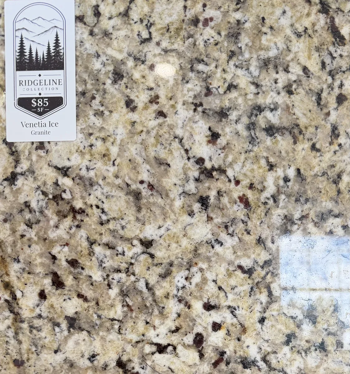 Venetia Ice Granite countertop Seymour TN