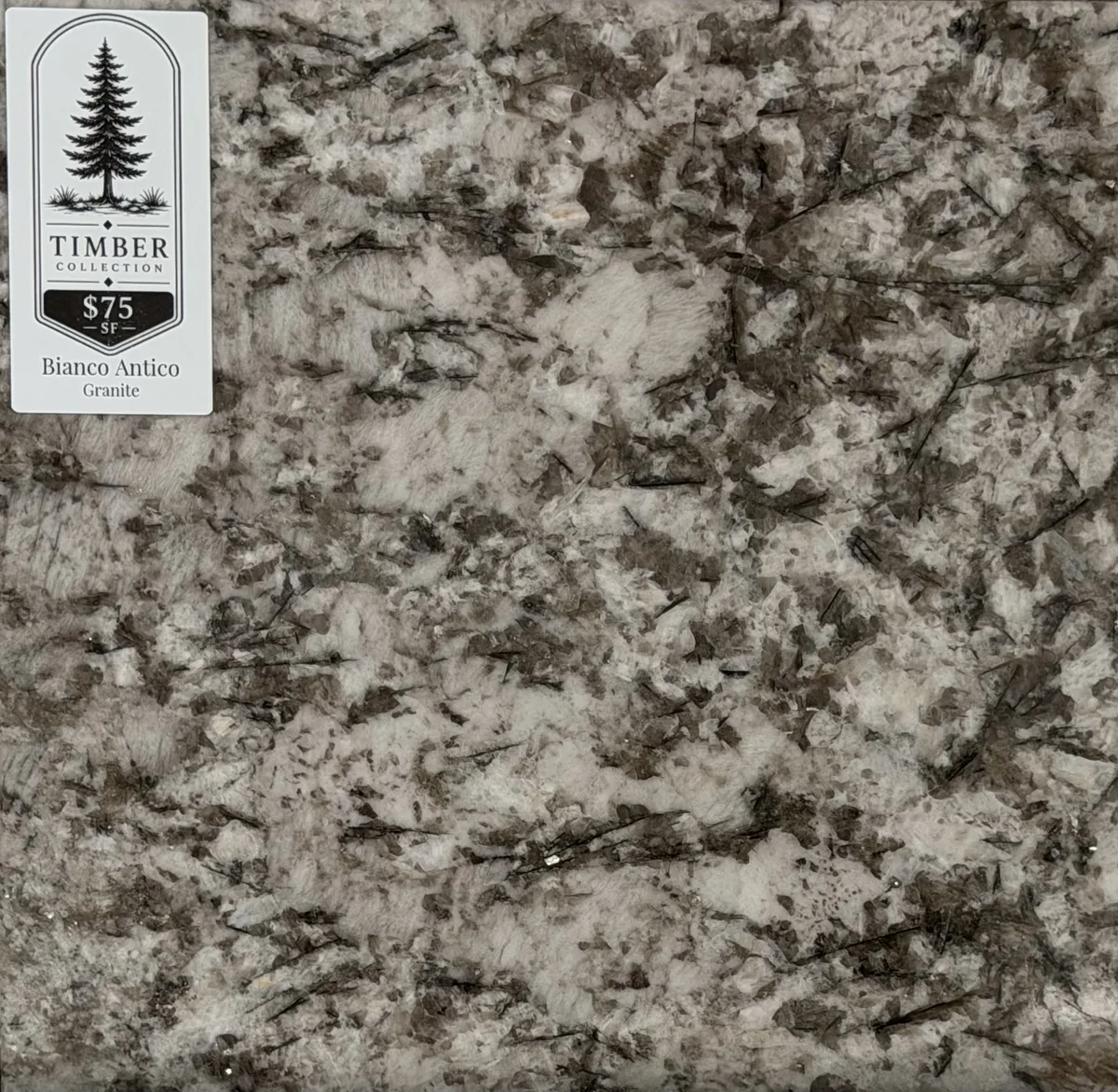 Bianco Antico Granite countertop Seymour TN