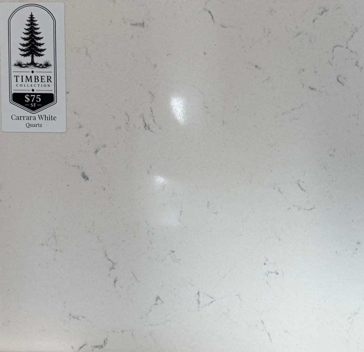 Carrara White Quartz countertop Seymour TN