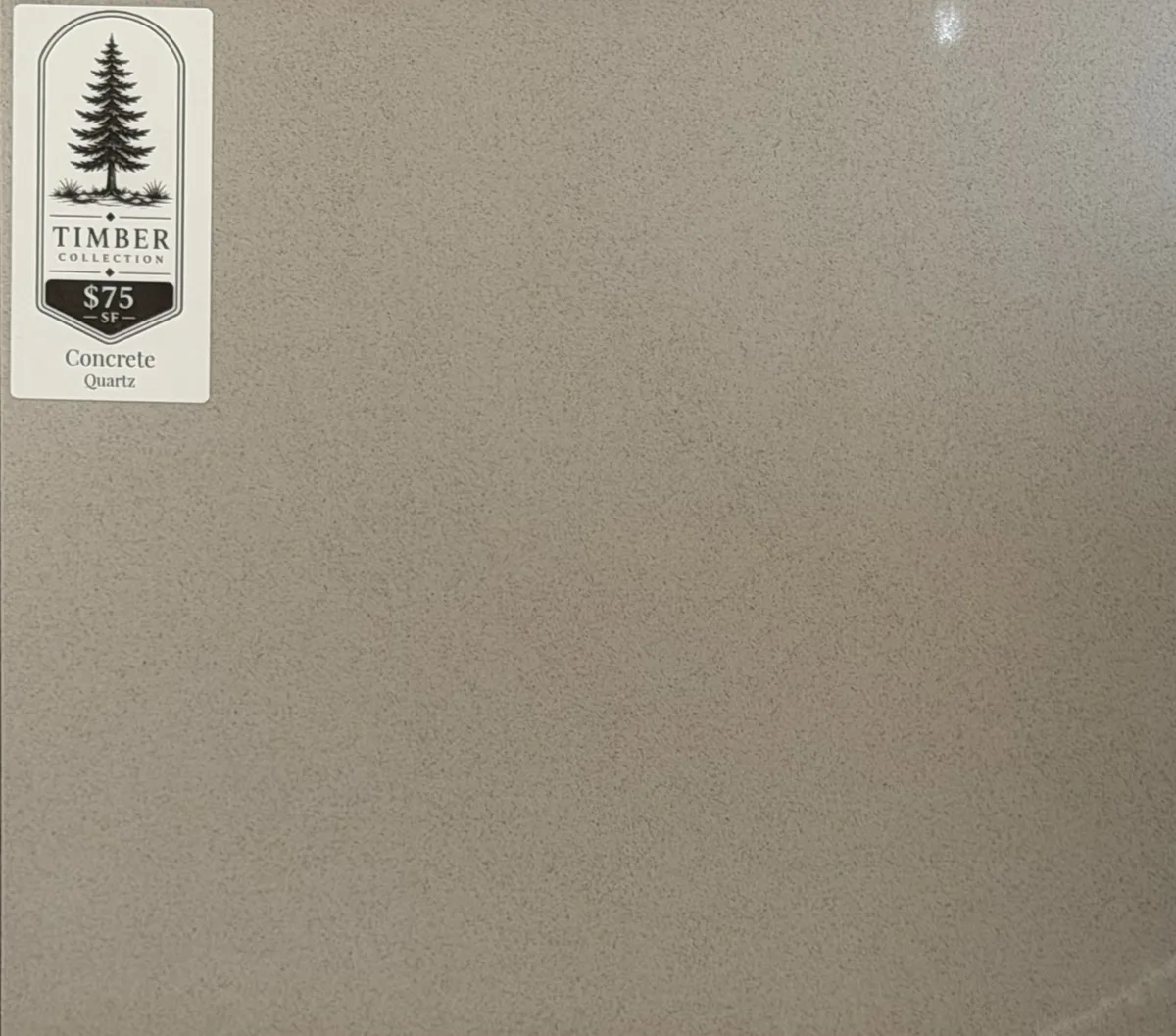 Concrete Quartz countertop Seymour TN