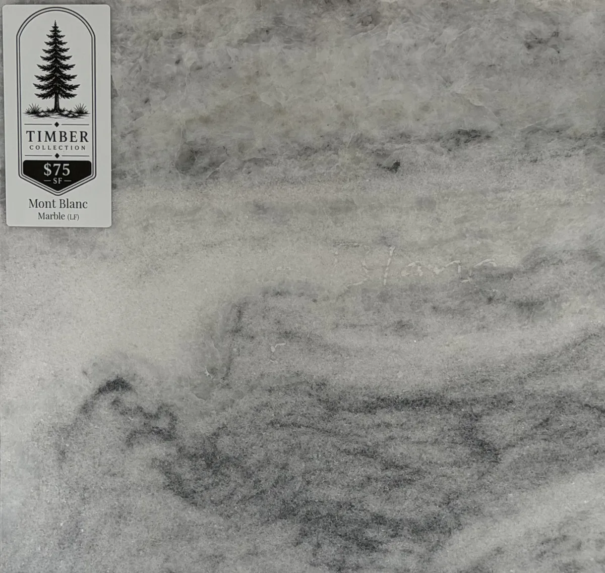Mont Blac Marble countertop Seymour TN
