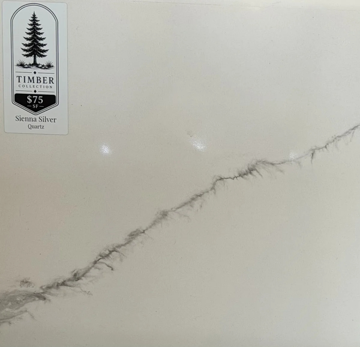 Sienna Silver Quartz countertop Seymour TN